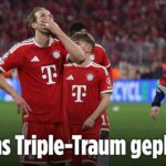Bayern Breaking News: PSG Defeats Bayern Munich, Secures Champions League Final Spot