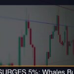 Ethereum Whales Make a Bold Move: $322 Million Buy Signals Market Confidence