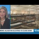 Florida’s Alligator Alcatraz Set to Close: What This Means for Wildlife and Local Vendors