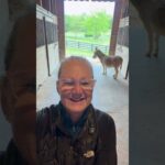 Good Friday 2026: Community Events and Reflections on Faith and Kindness