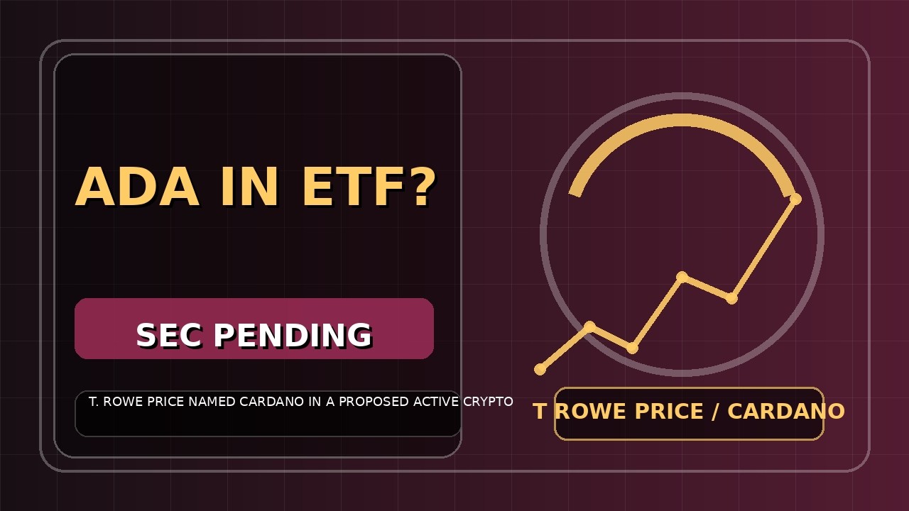 T Rowe Price Latest Update: Quarterly Dividend Declared Amid Stock Underperformance